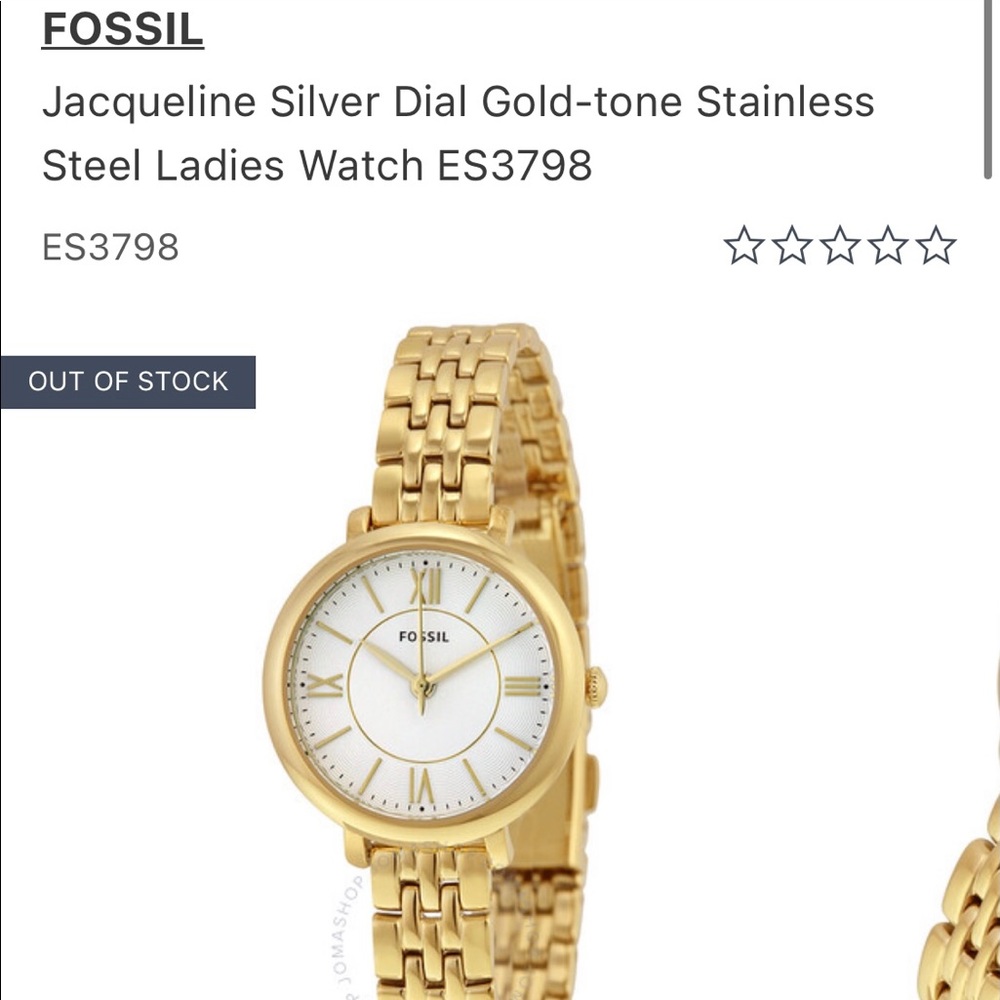 FOSSIL WATCH